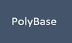 PolyBase2.jpg